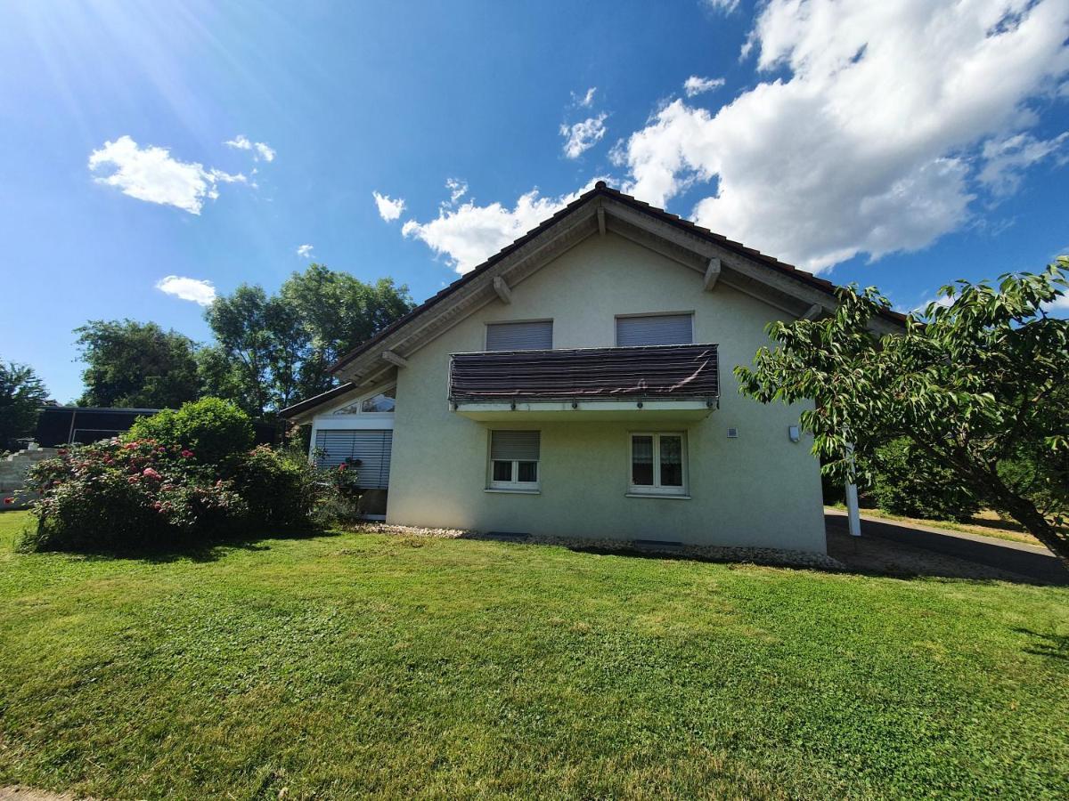 Klettgauperle - Familien- Und Behindertengerechte Ferienwohnung Griessen Extérieur photo
